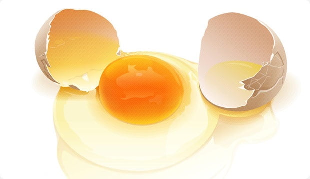 کیفیت تخم مرغ