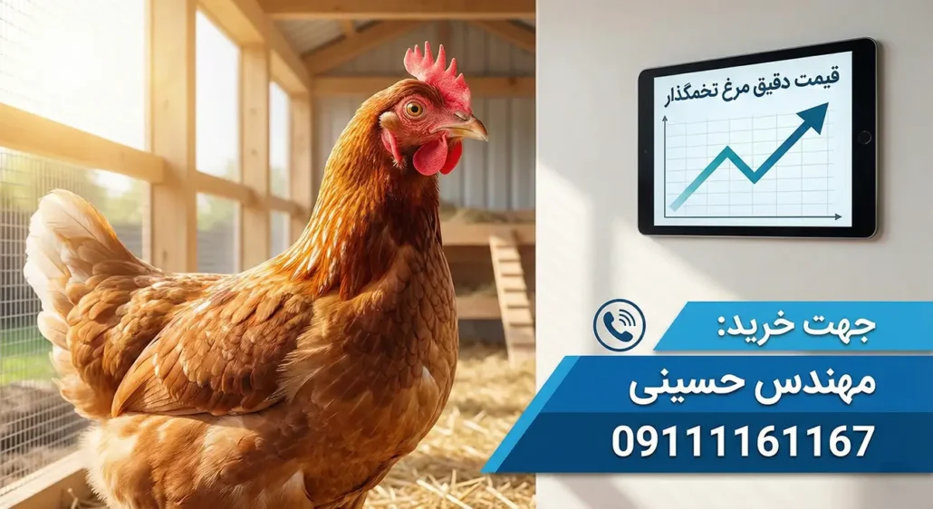 لیست قیمت مرغ تخمگذار