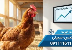 لیست قیمت مرغ تخمگذار