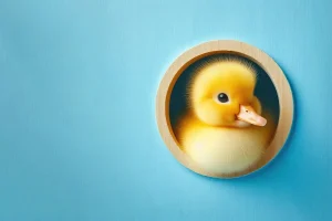 تصویری از جوجه اردک