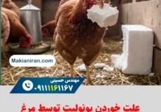 علت خوردن یونولیت توسط مرغ