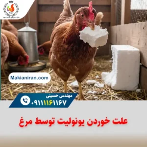 علت خوردن یونولیت توسط مرغ